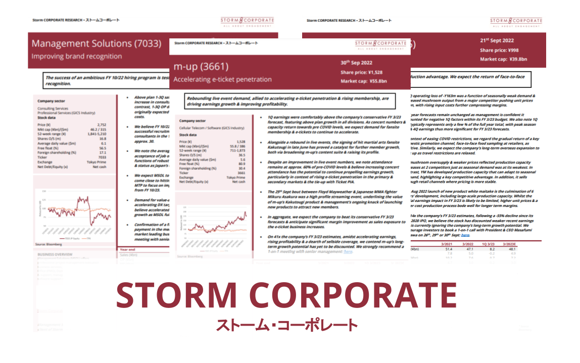 Storm Corporate