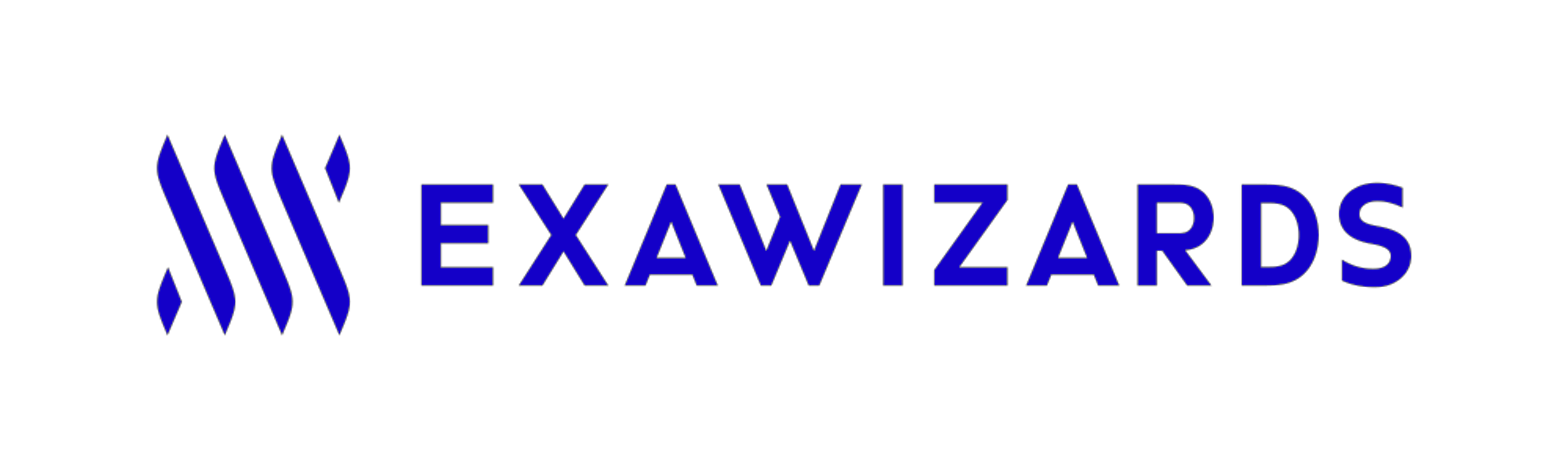 ExaWizards